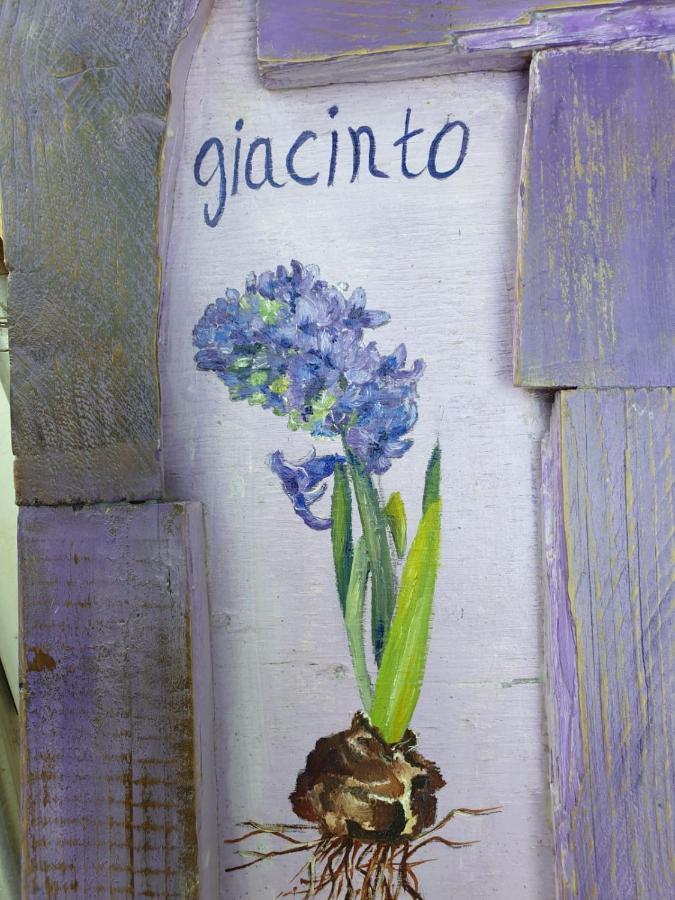 B & B La Primavera Pergola Buitenkant foto
