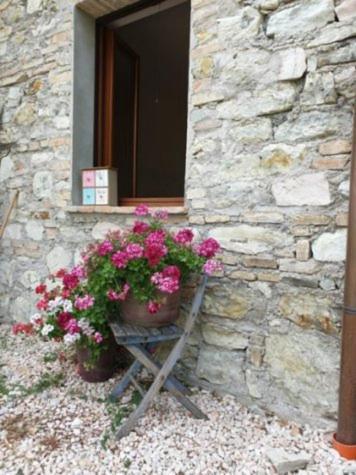 B & B La Primavera Pergola Buitenkant foto
