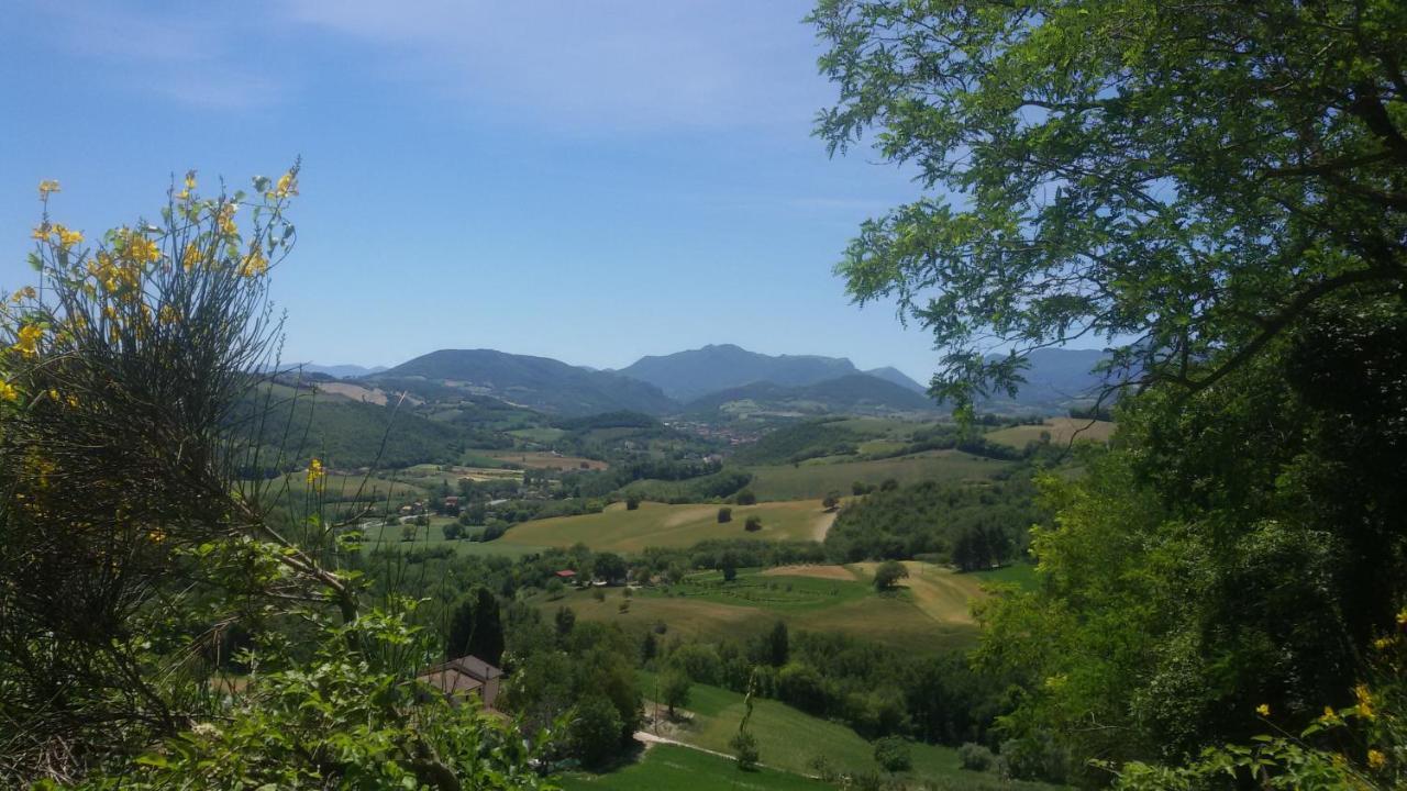 B & B La Primavera Pergola Buitenkant foto
