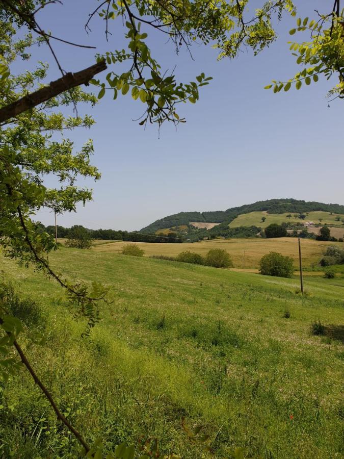 B & B La Primavera Pergola Buitenkant foto