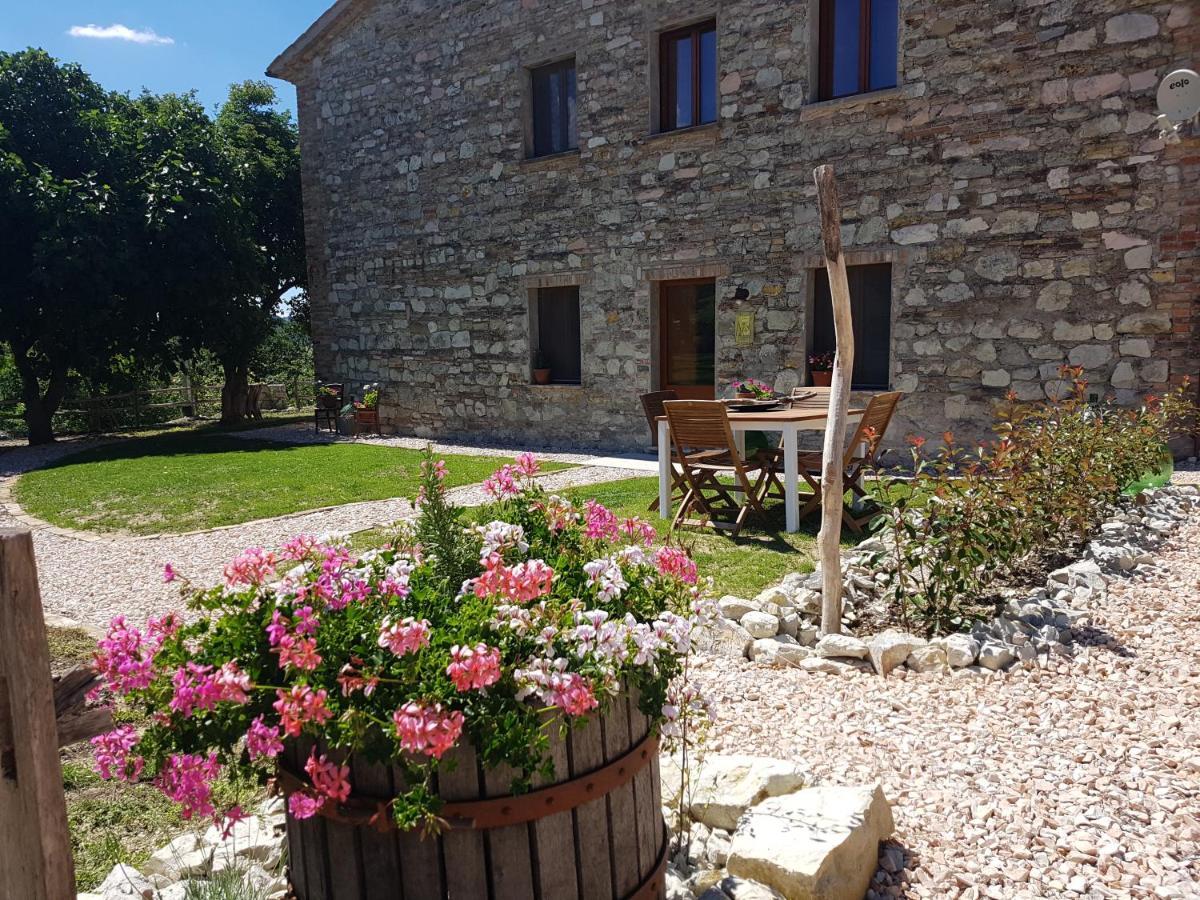 B & B La Primavera Pergola Buitenkant foto