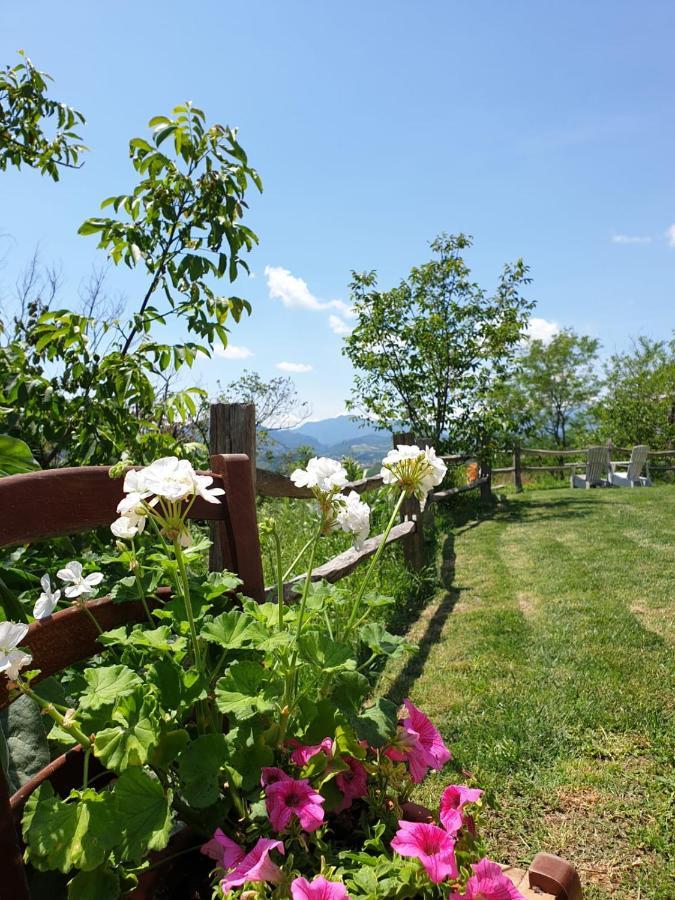 B & B La Primavera Pergola Buitenkant foto